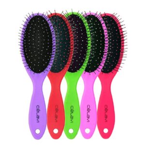 AGUA DETANGLER BRUSH