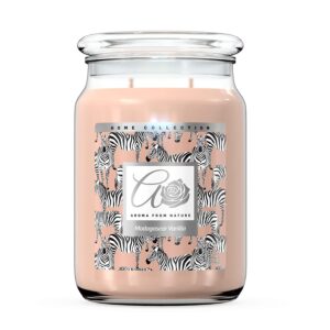 MADAGASCAR VAINILLA 20 OZ