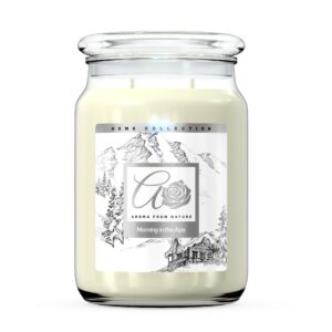 MORNING IN THE ALPS 20 OZ